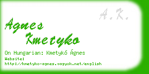 agnes kmetyko business card
