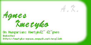 agnes kmetyko business card